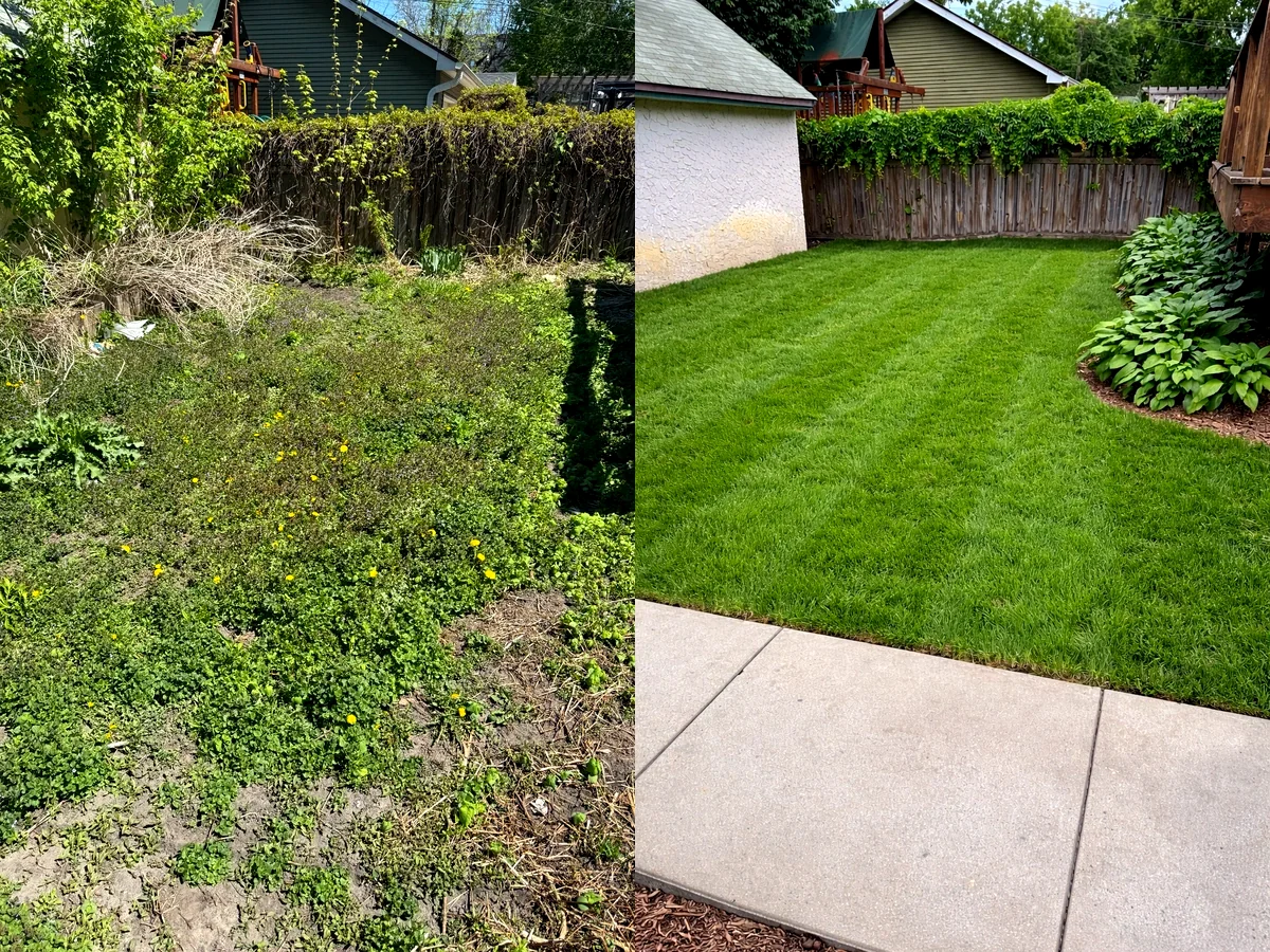 Fresh mulch bed installation for clean curb appeal in St Paul Minnesota