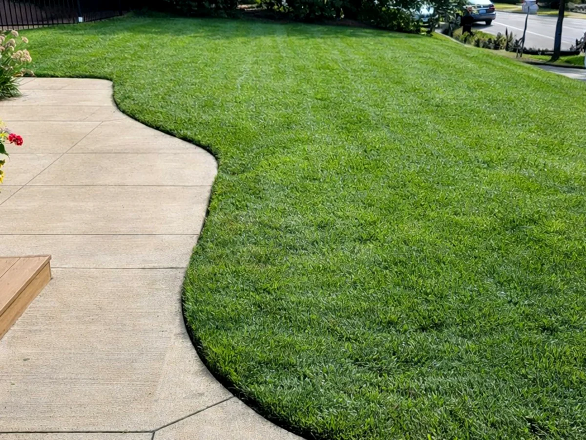 Lawn striping and edging detail from professional lawn care service in St Paul Minnesota