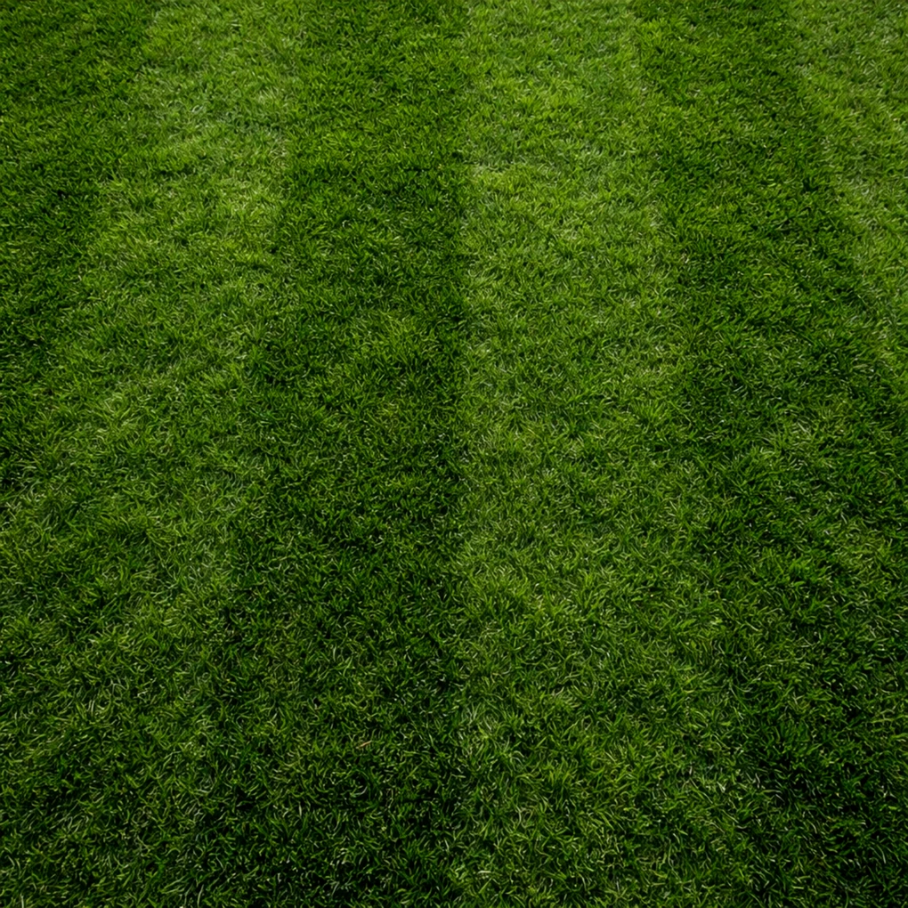 Professional residential lawn mowing and lawn maintenance for higher-end homes in St Paul Minnesota